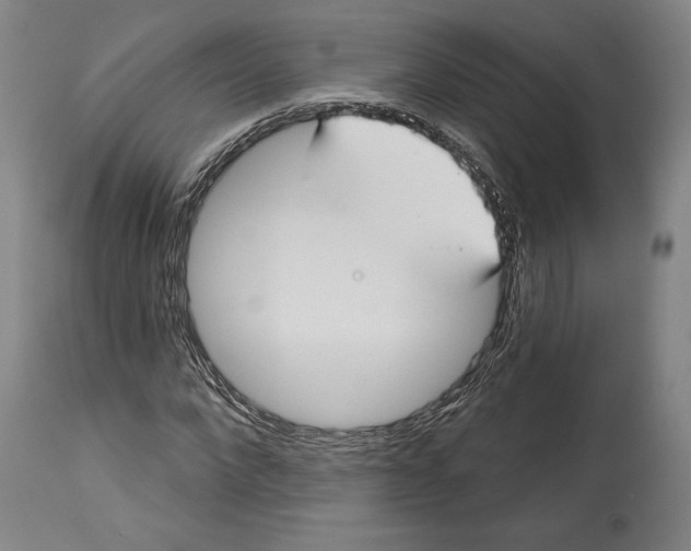 X0000114440872200911131513