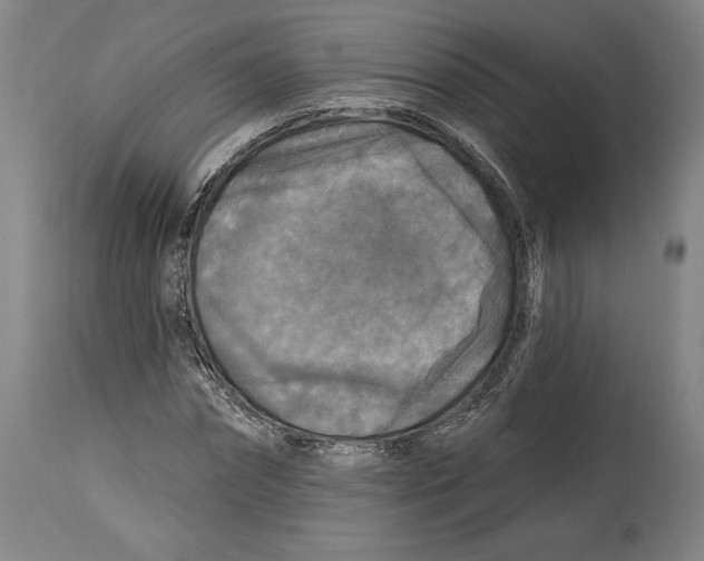 X0000114440874200911131513