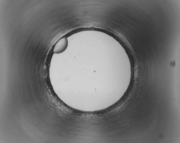 X0000114440876200911131513