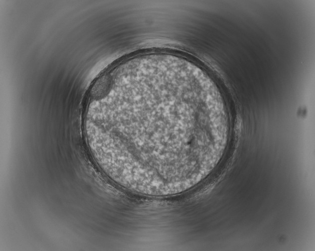 X0000114440877200911131513