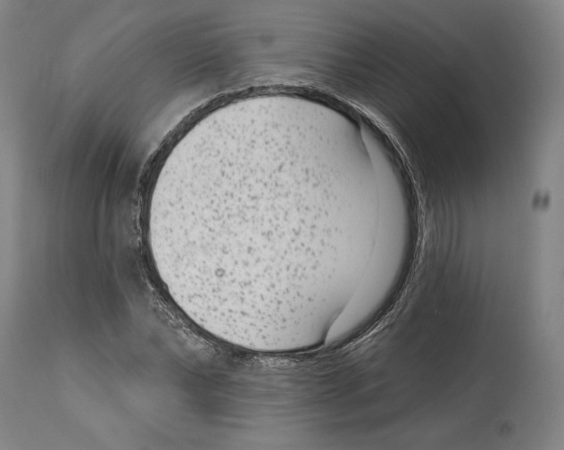 X0000114440878200911131513