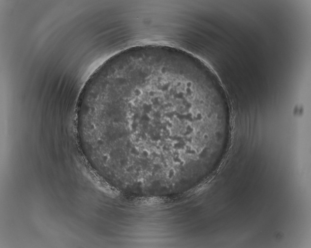 X0000114440879200911131513