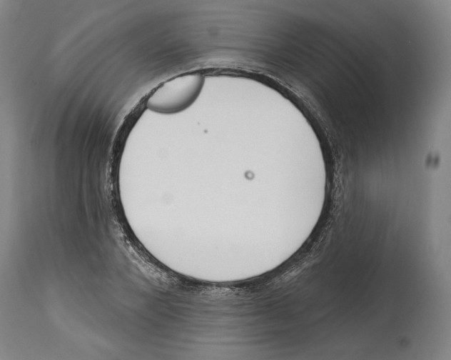 X0000114440880200911131513