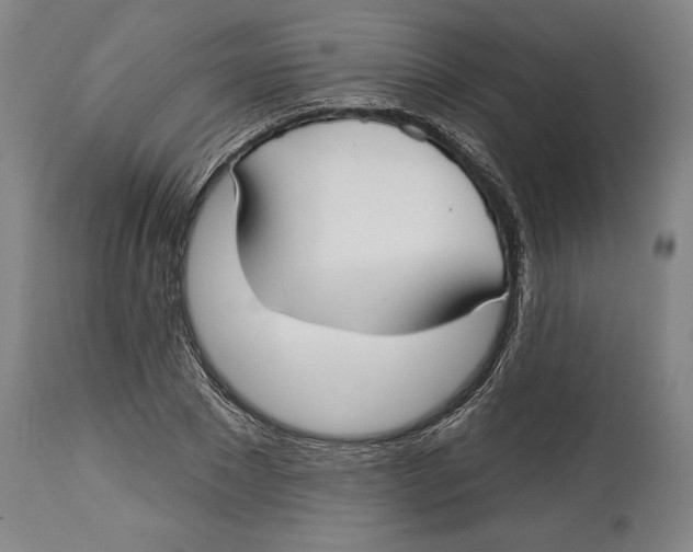 X0000114440881200911131513