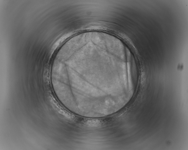 X0000114440882200911131513