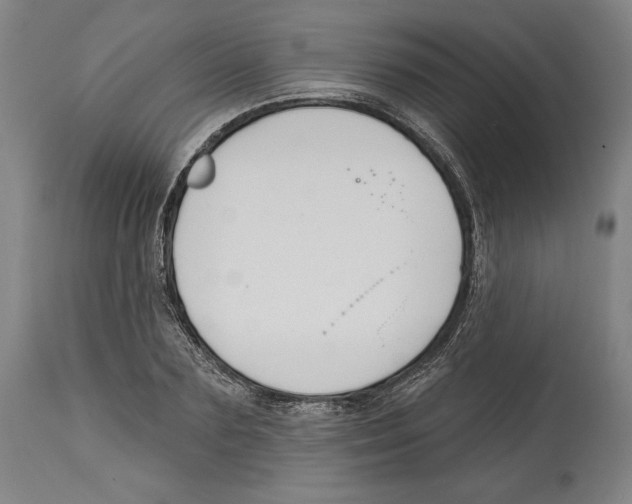 X0000114440883200911131513