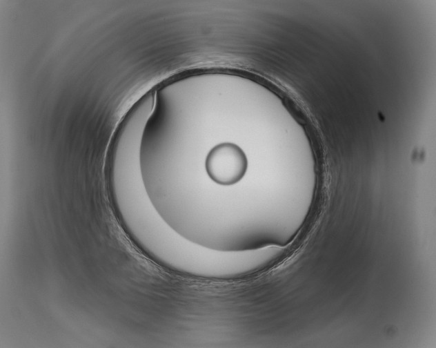 X0000114440885200911131513