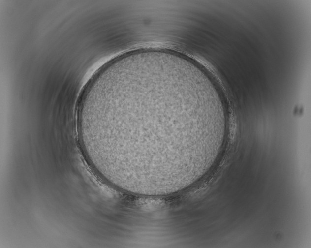 X0000114440886200911131513