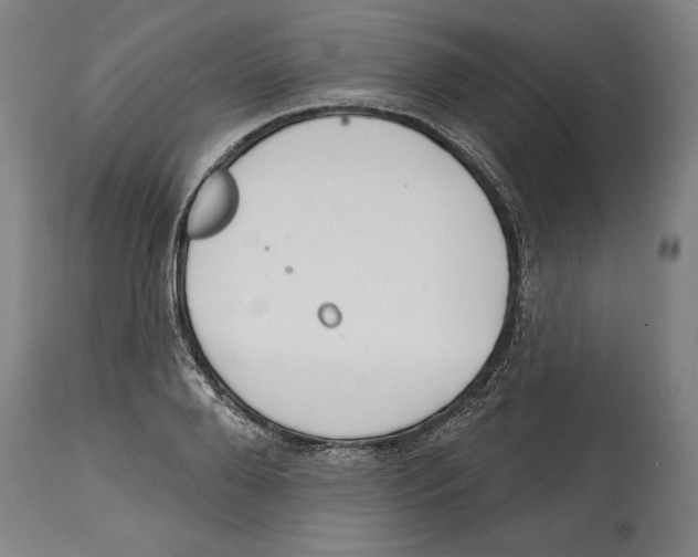 X0000114440888200911131513