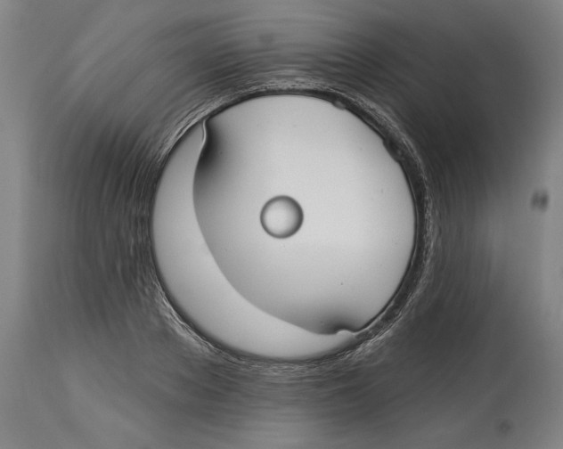 X0000114440889200911131513