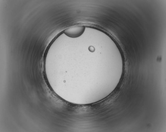 X0000114440891200911131513