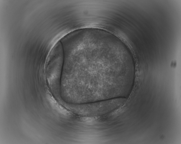 X0000114440892200911131513