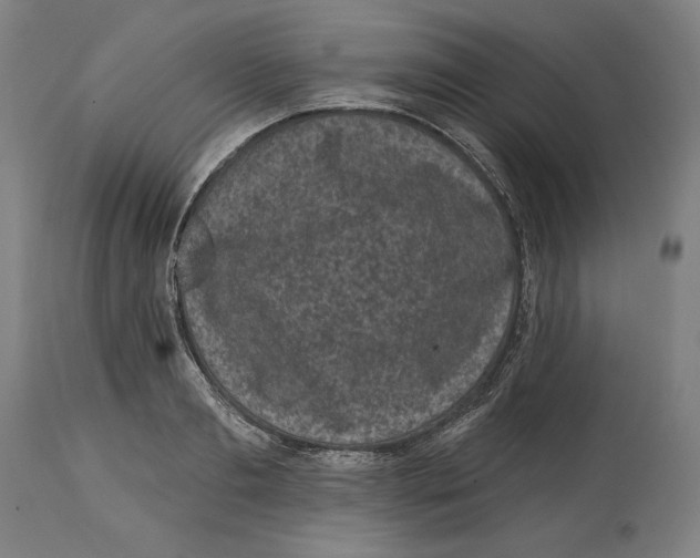 X0000114440893200911131513