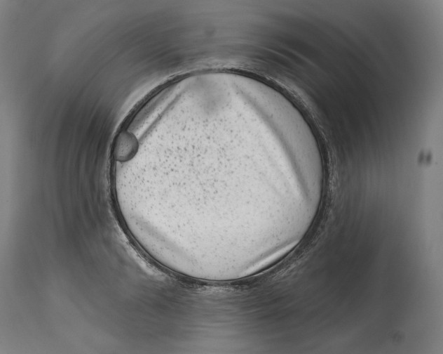 X0000114440894200911131513