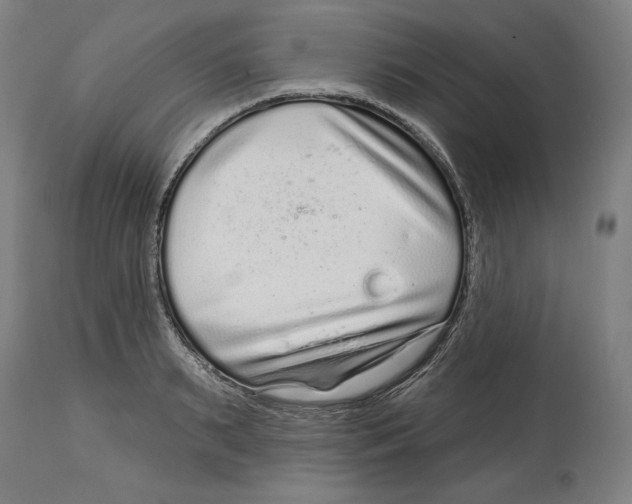 X0000114440895200911131513