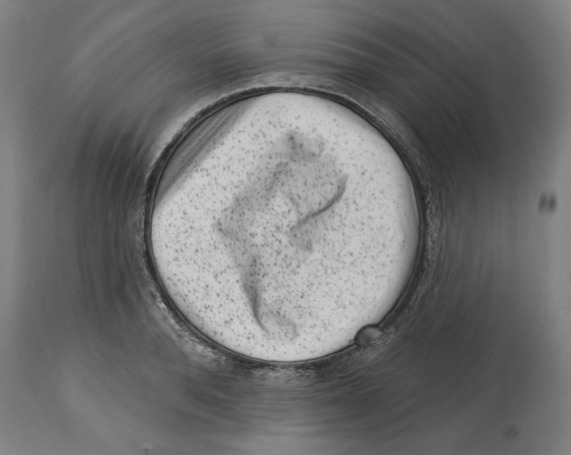 X0000114440896200911131513