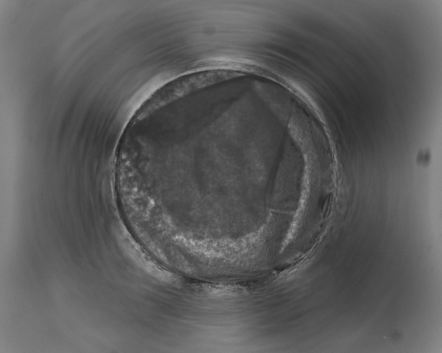 X0000114440899200911131513