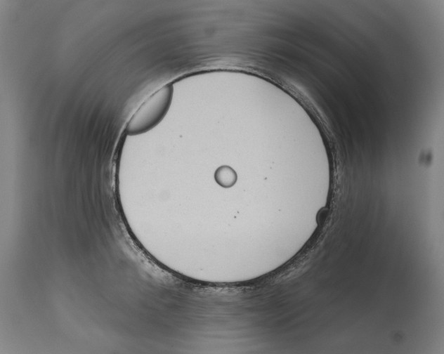 X0000114440900200911131513