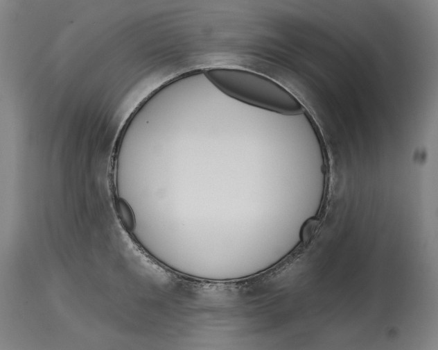 X0000114440901200911131513