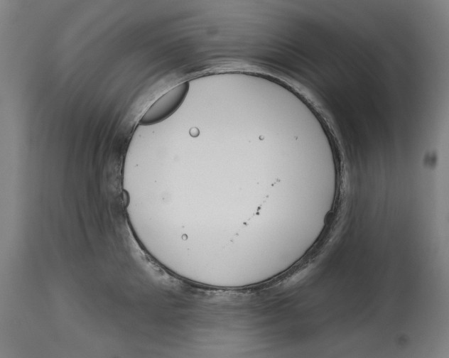 X0000114440905200911131513