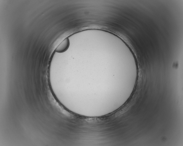 X0000114440906200911131513