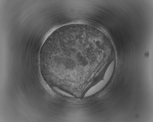 X0000114440907200911131513