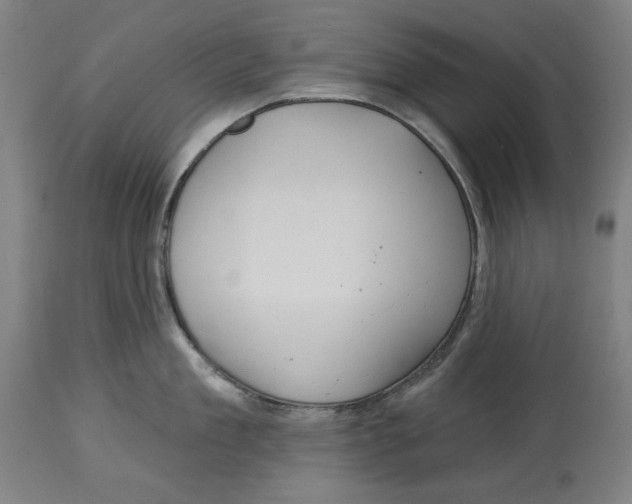 X0000114440909200911131513