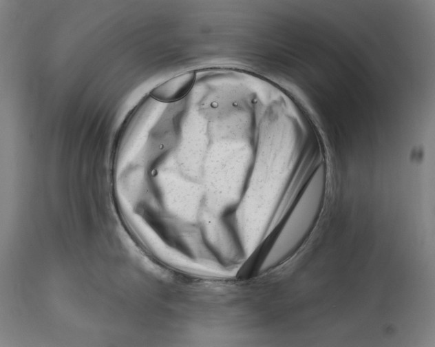 X0000114440910200911131513