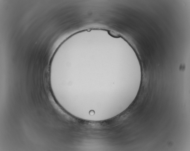 X0000114440911200911131513