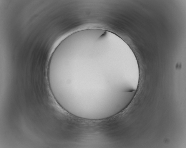 X0000114440912200911131513