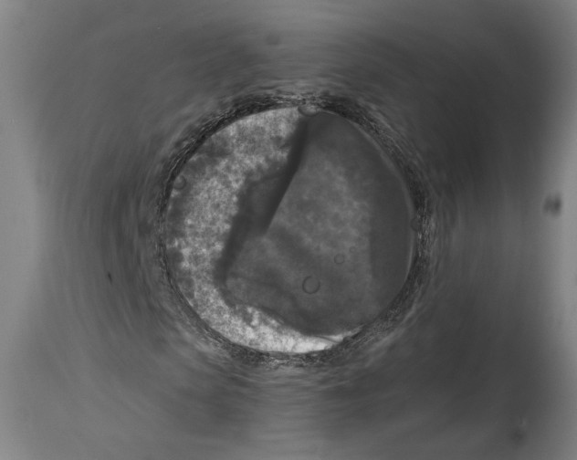 X0000114440913200911131512