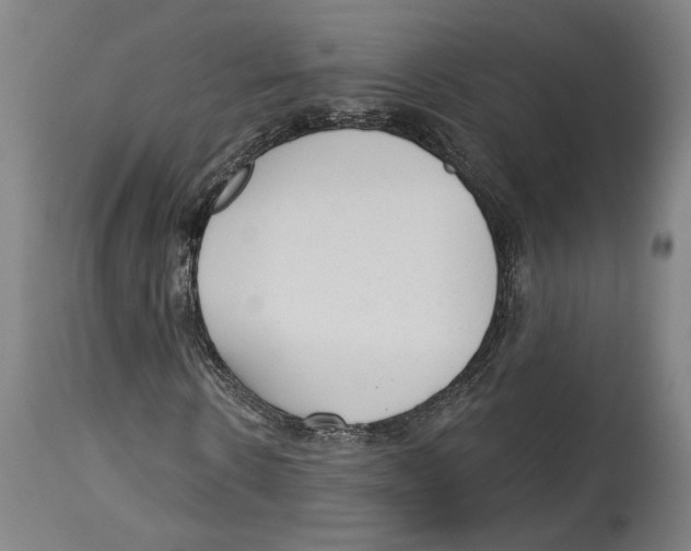 X0000114440914200911131512