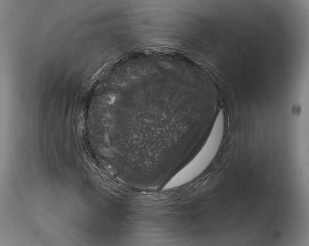 X0000114440915200911131512