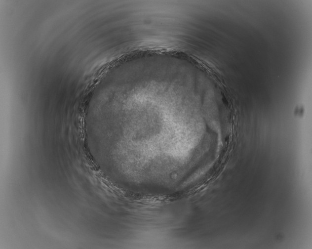 X0000114440917200911131512