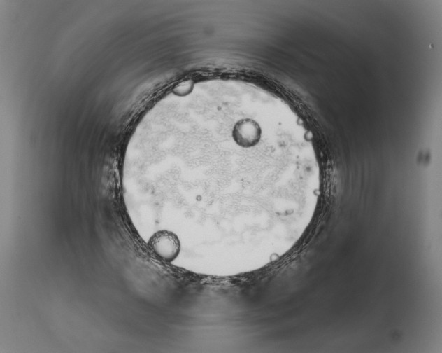 X0000114440918200911131512