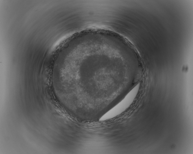 X0000114440919200911131512