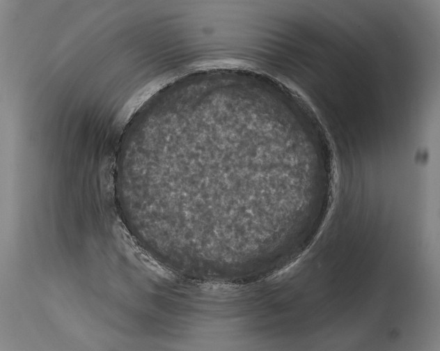 X0000114440921200911131512