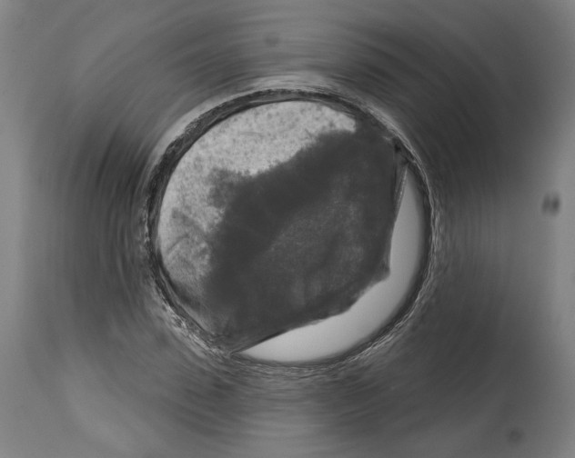 X0000114440923200911131512