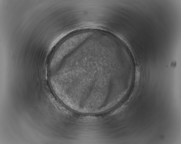 X0000114440925200911131512