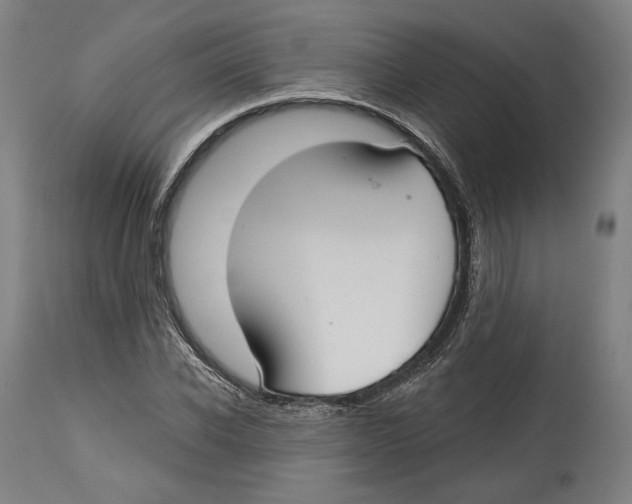 X0000114440926200911131512