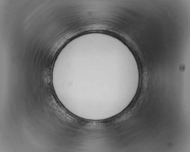 X0000114440929200911131512