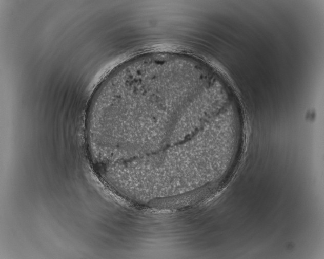 X0000114440930200911131512