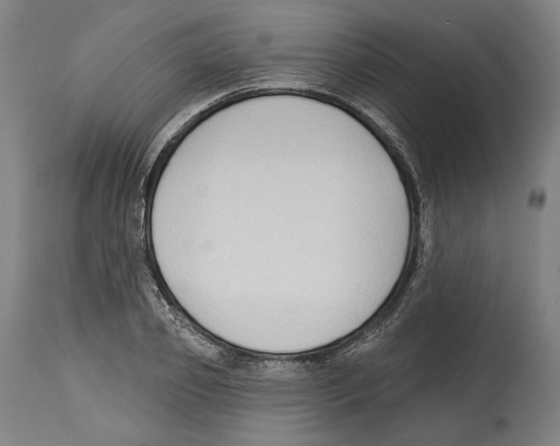 X0000114440933200911131512