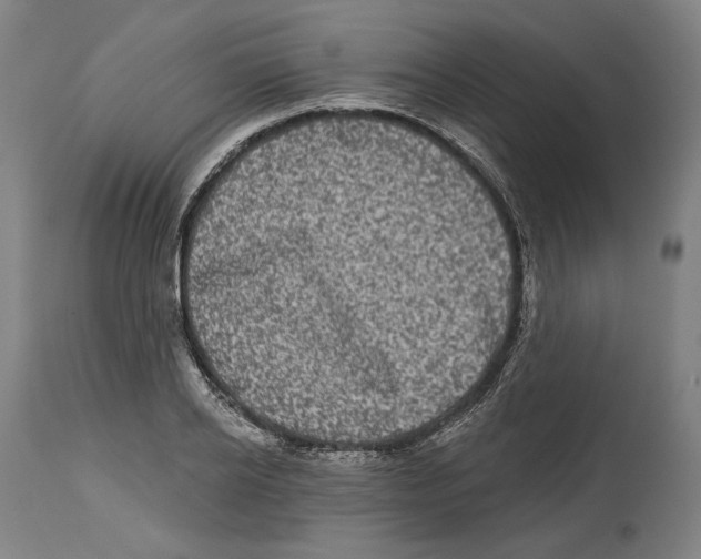 X0000114440934200911131512