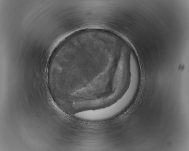 X0000114440935200911131512