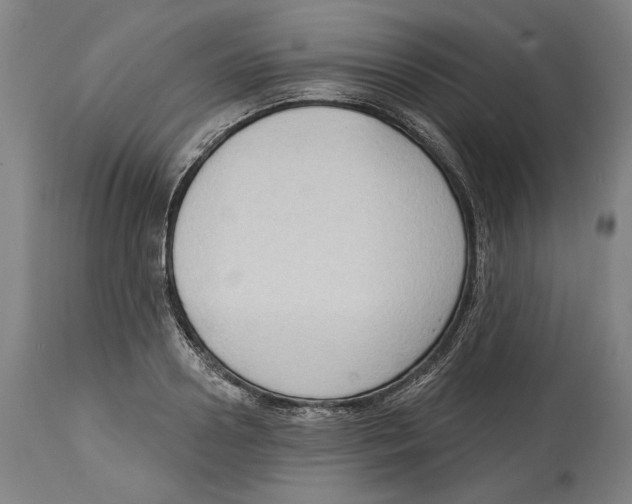 X0000114440938200911131512