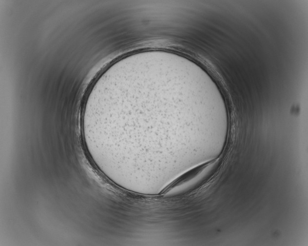 X0000114440939200911131512