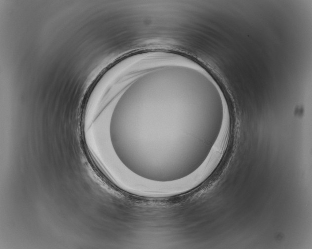 X0000114440941200911131512