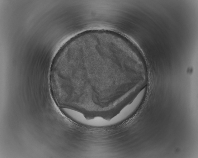 X0000114440943200911131512