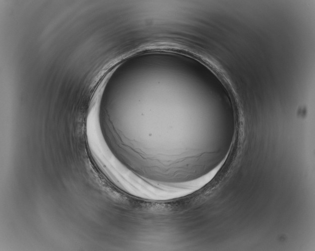 X0000114440945200911131512